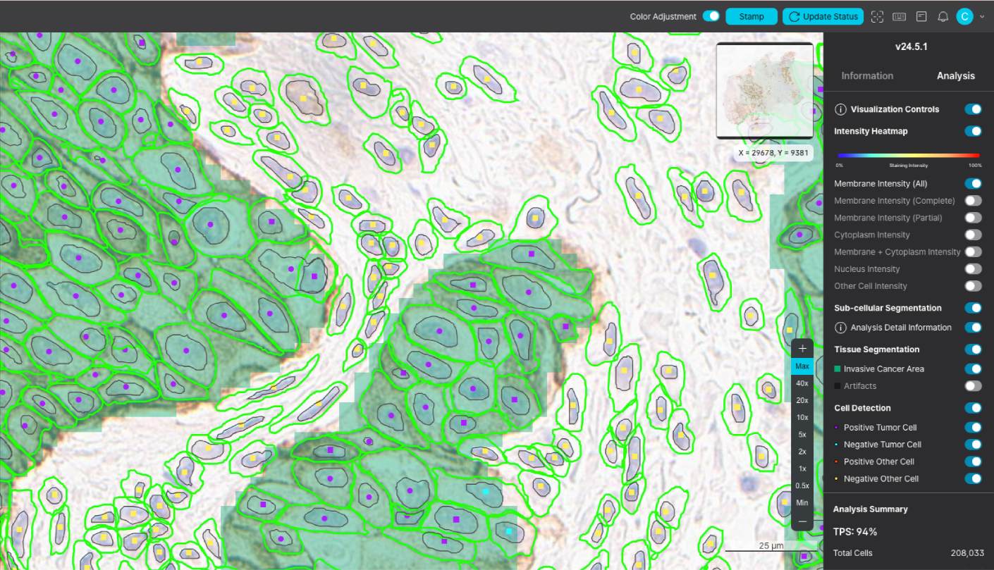 Digital pathology image showing AI-analyzed tissue with outlined cell membranes and heatmap visualization for next-generation IHC biomarker development.