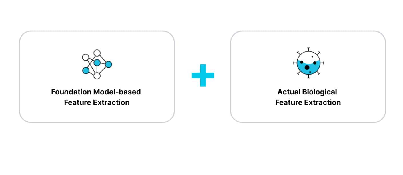 Diagram showing integration of foundation model-based feature extraction with biological feature extraction to enhance AI prediction accuracy.