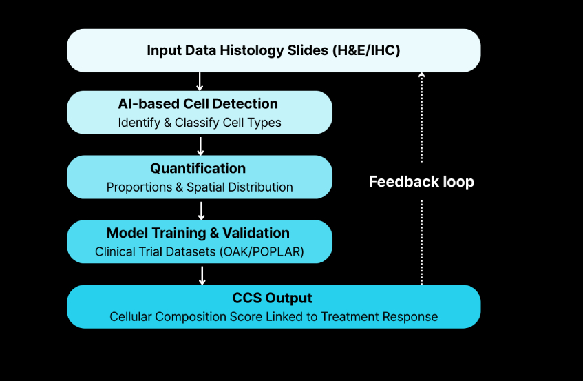 Case Study: AI-powered Biomarker Development Using Lunit SCOPE IO