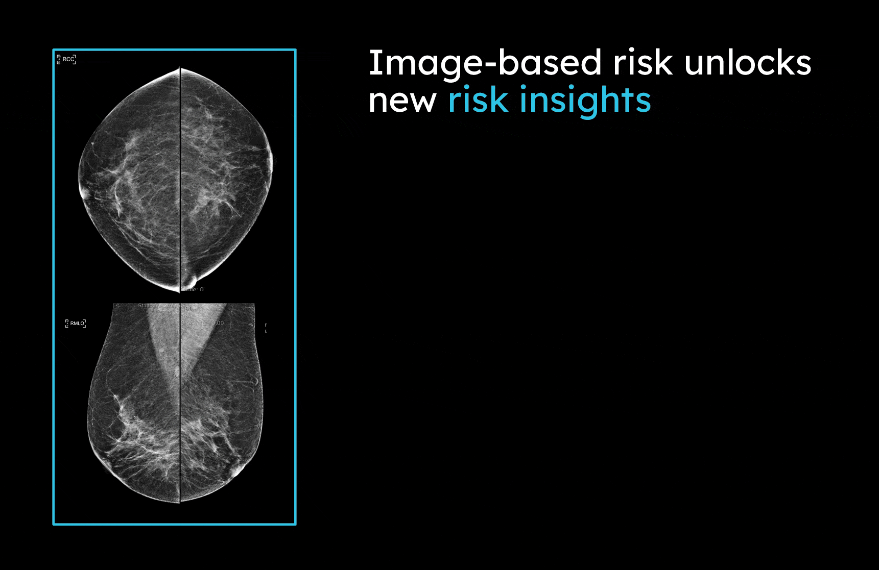 What is Image-Based Risk?